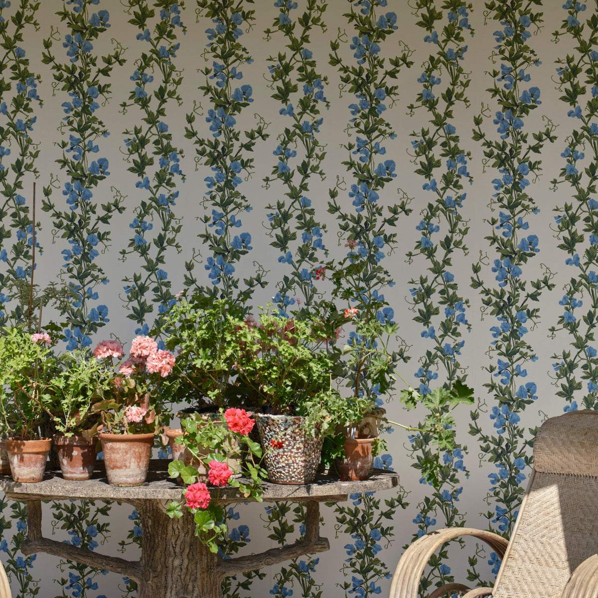 Sweet Pea 6704 wallpaper by Farrow & Ball in a room setting