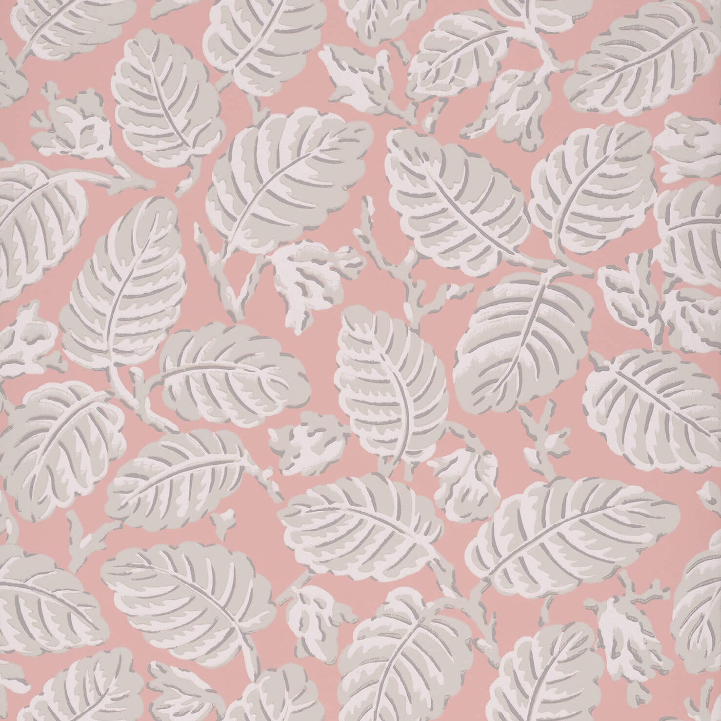 Beech Nut - Delicate by Little Greene - luxury wallpaper