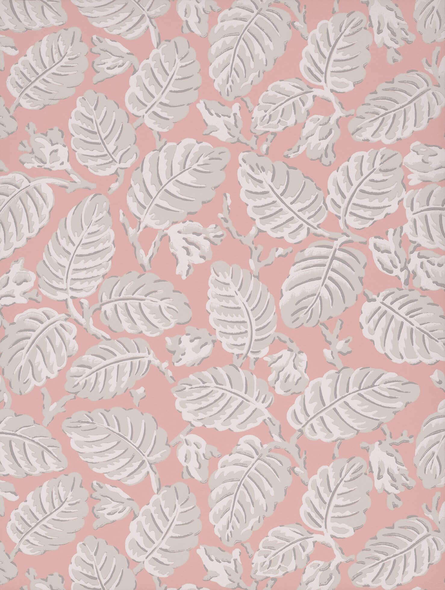 Beech Nut - Delicate by Little Greene - luxury wallpaper