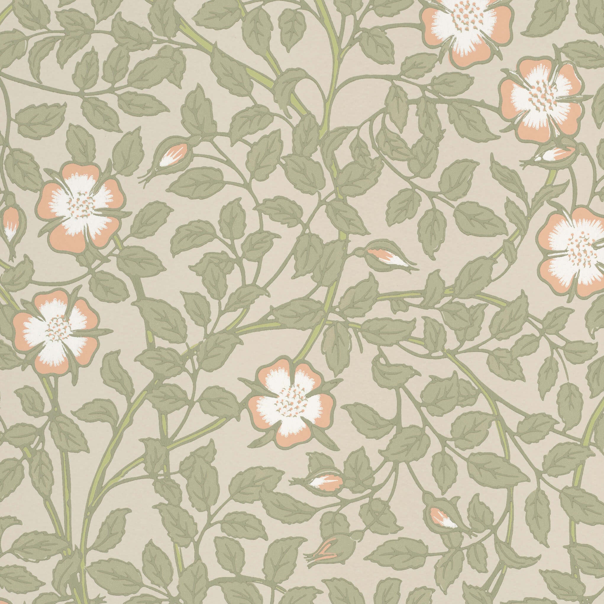 Briar Rose - Green Mist by Little Greene - luxury wallpaper