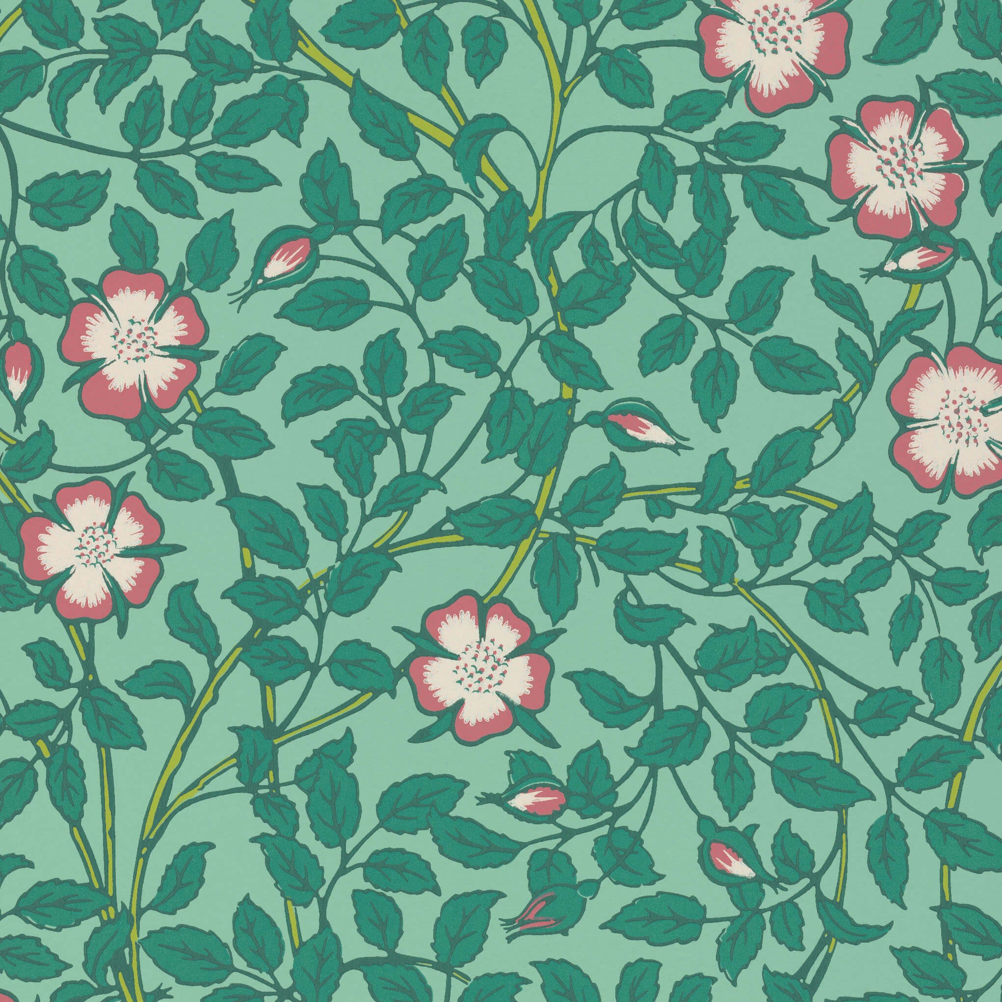 Briar Rose - Green Verditer by Little Greene - luxury wallpaper