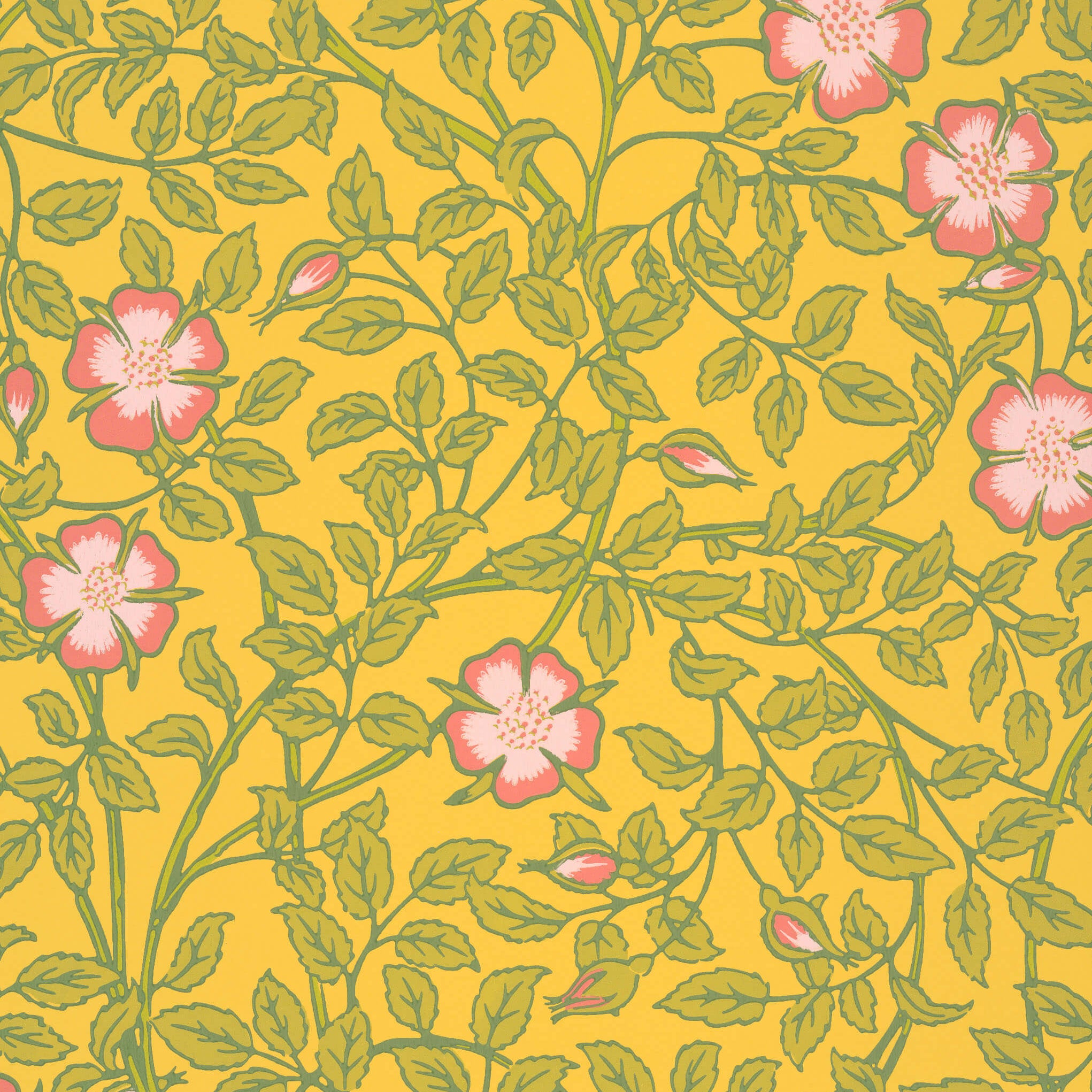 Briar Rose - Indian Yellow by Little Greene - luxury wallpaper