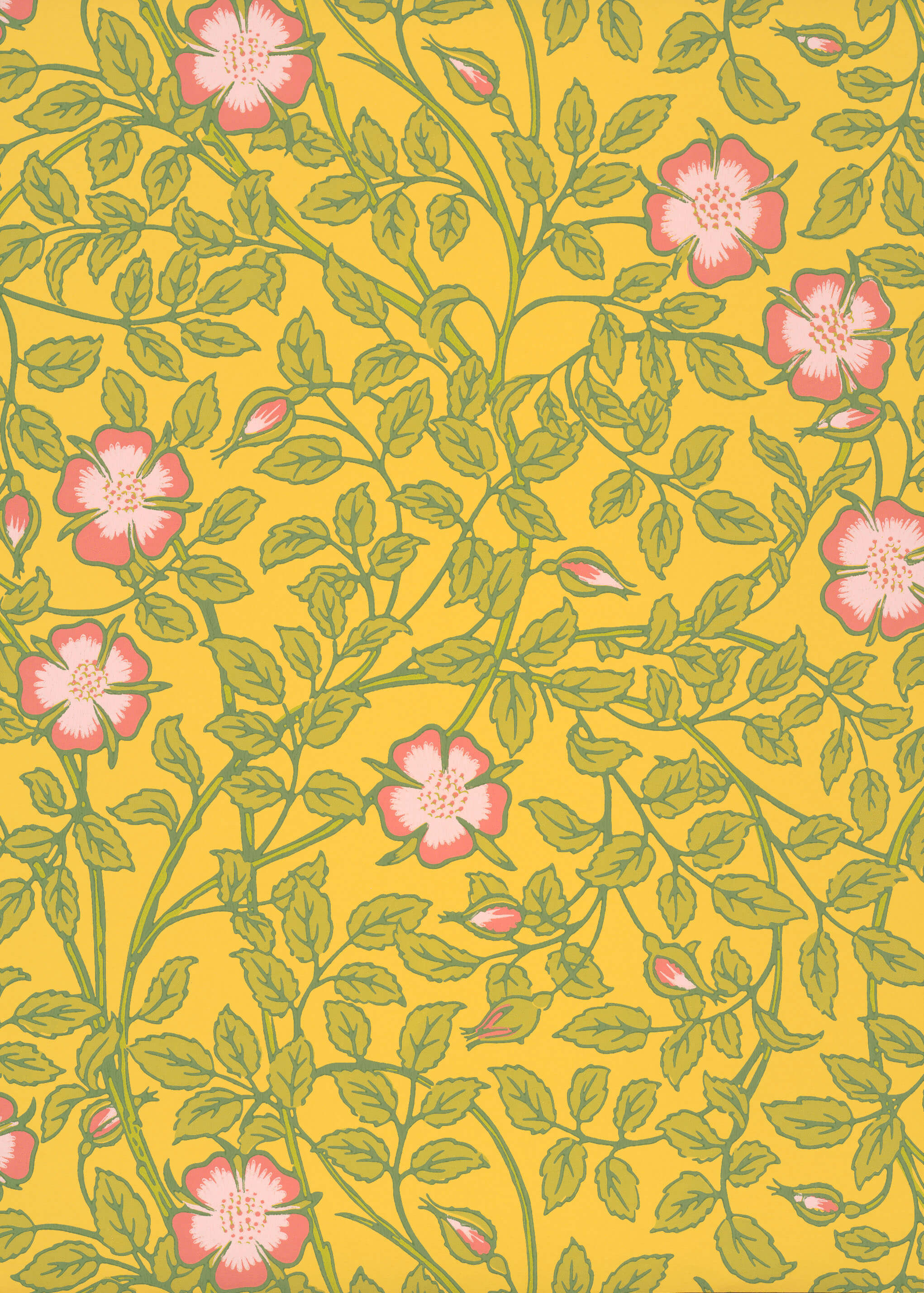 Briar Rose - Indian Yellow by Little Greene - luxury wallpaper