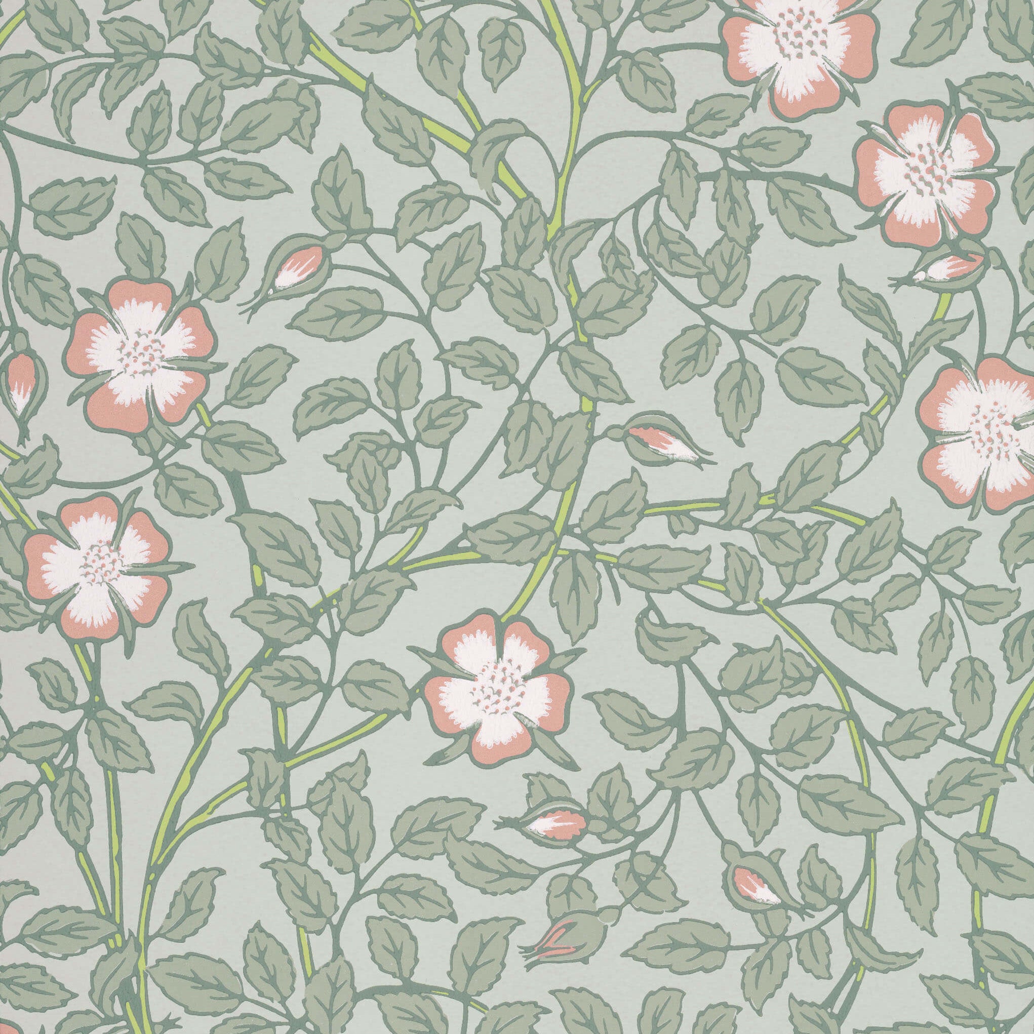 Briar Rose - Salix by Little Greene - luxury wallpaper