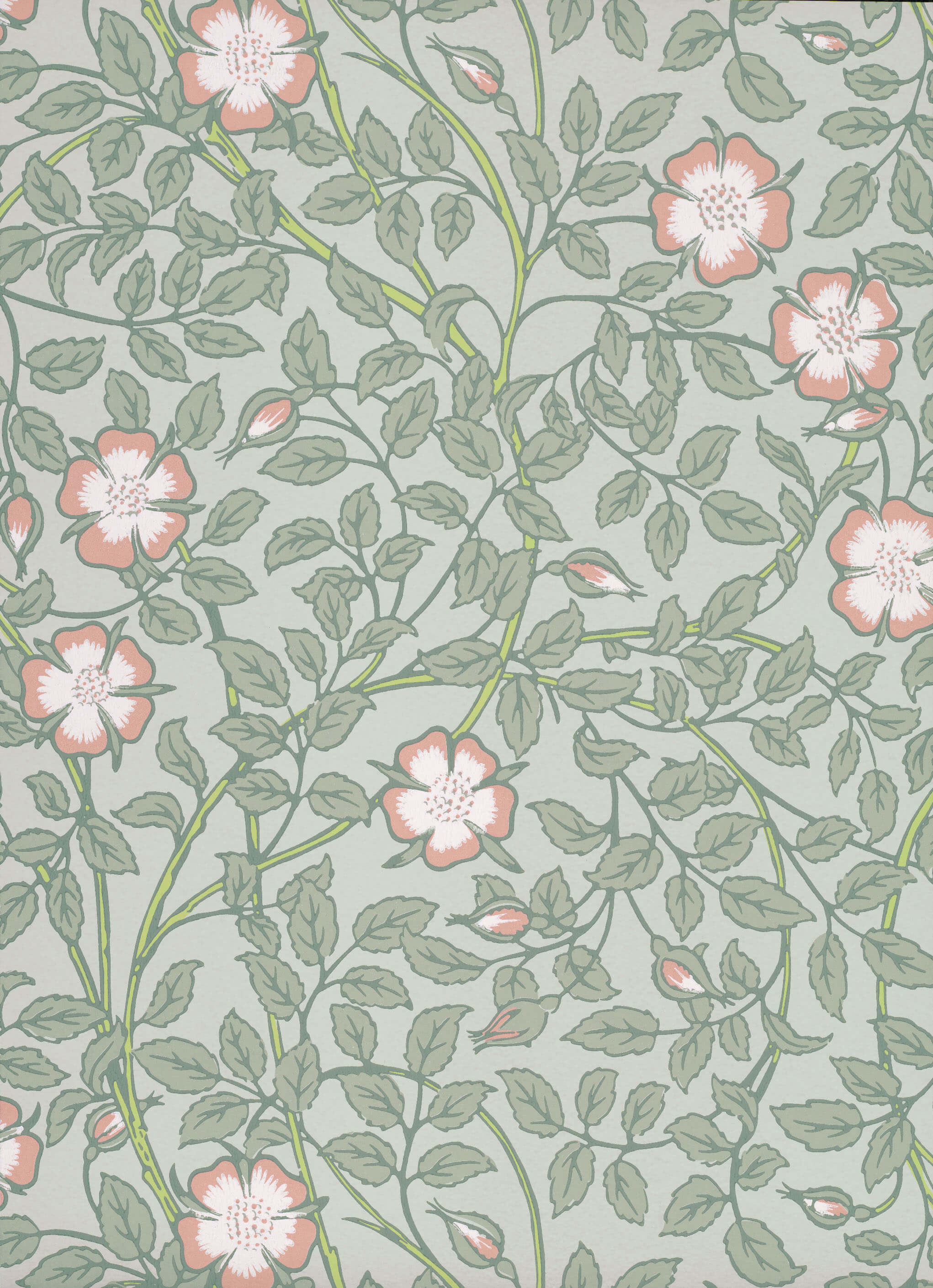 Briar Rose - Salix by Little Greene - luxury wallpaper