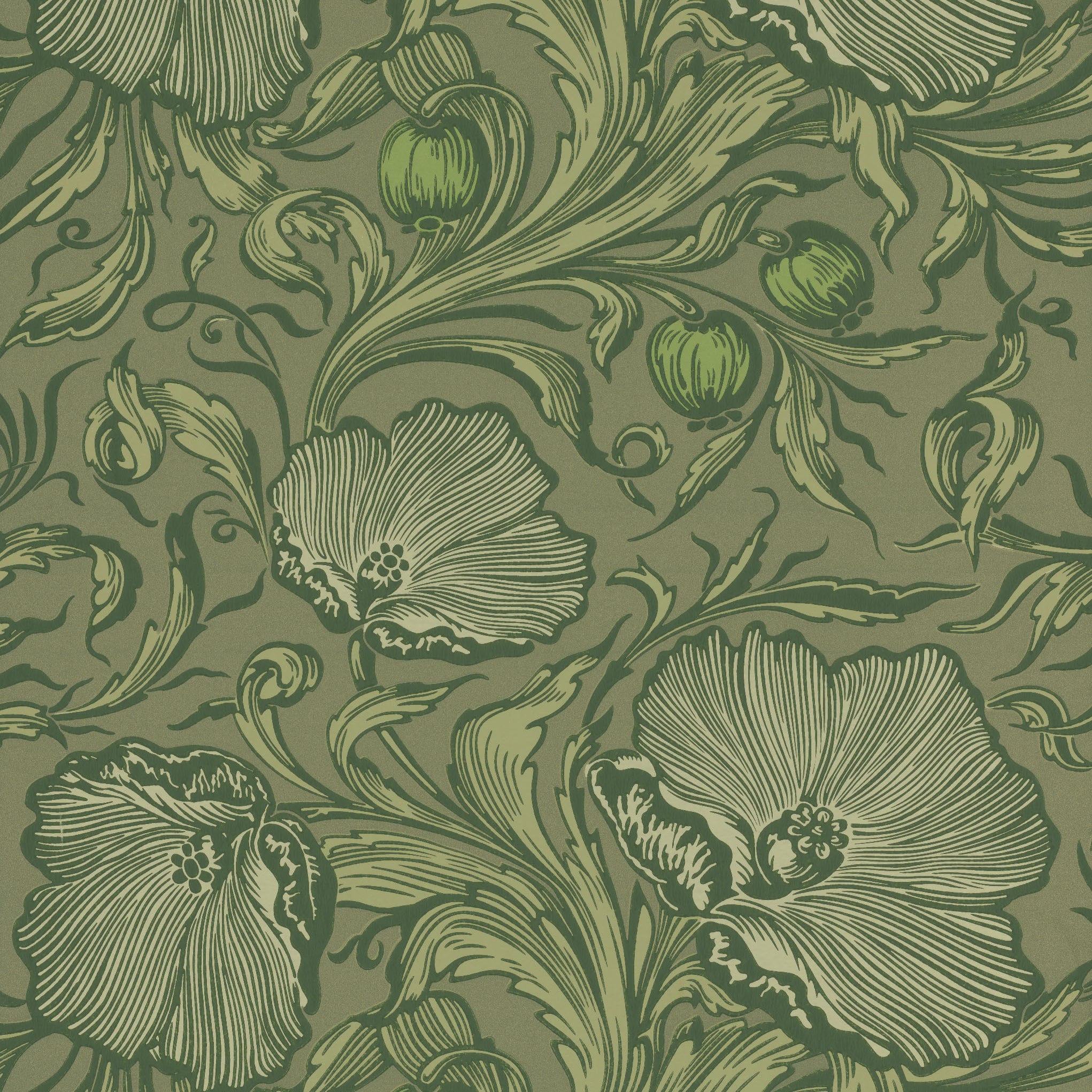 Poppy Trail - Sage Green by Little Greene - luxury wallpaper