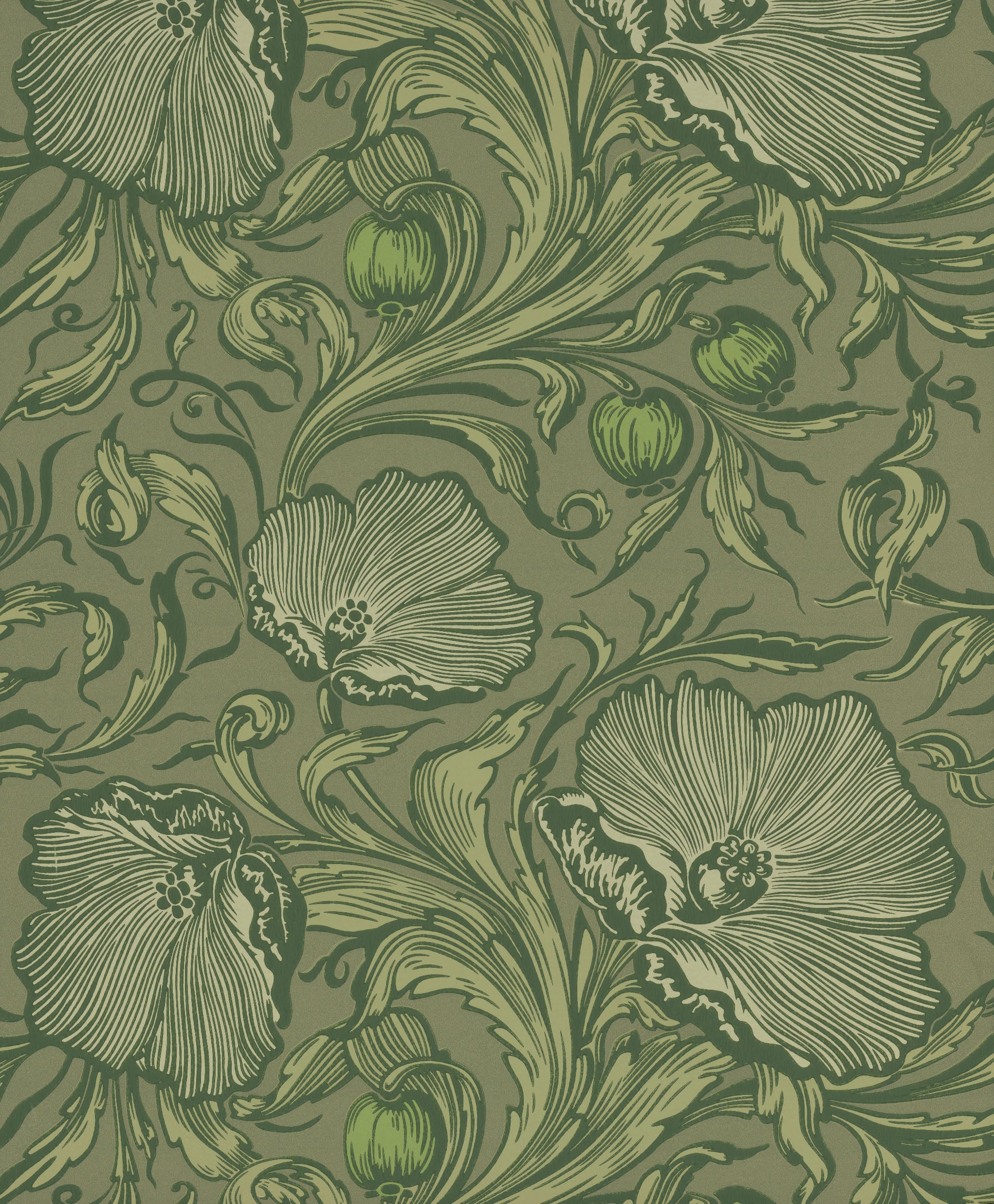 Poppy Trail - Sage Green by Little Greene - luxury wallpaper