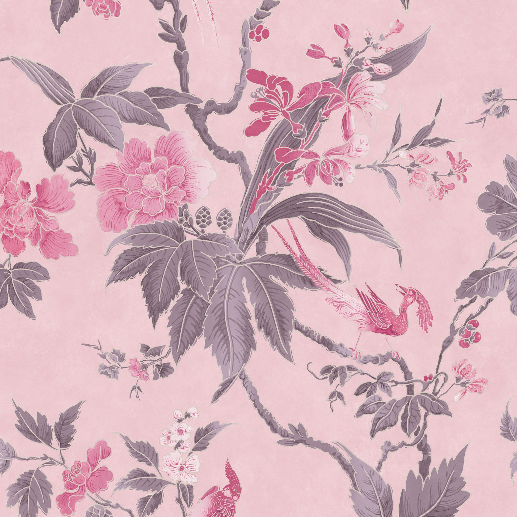 Paradise - Pink by Little Greene - luxury wallpaper