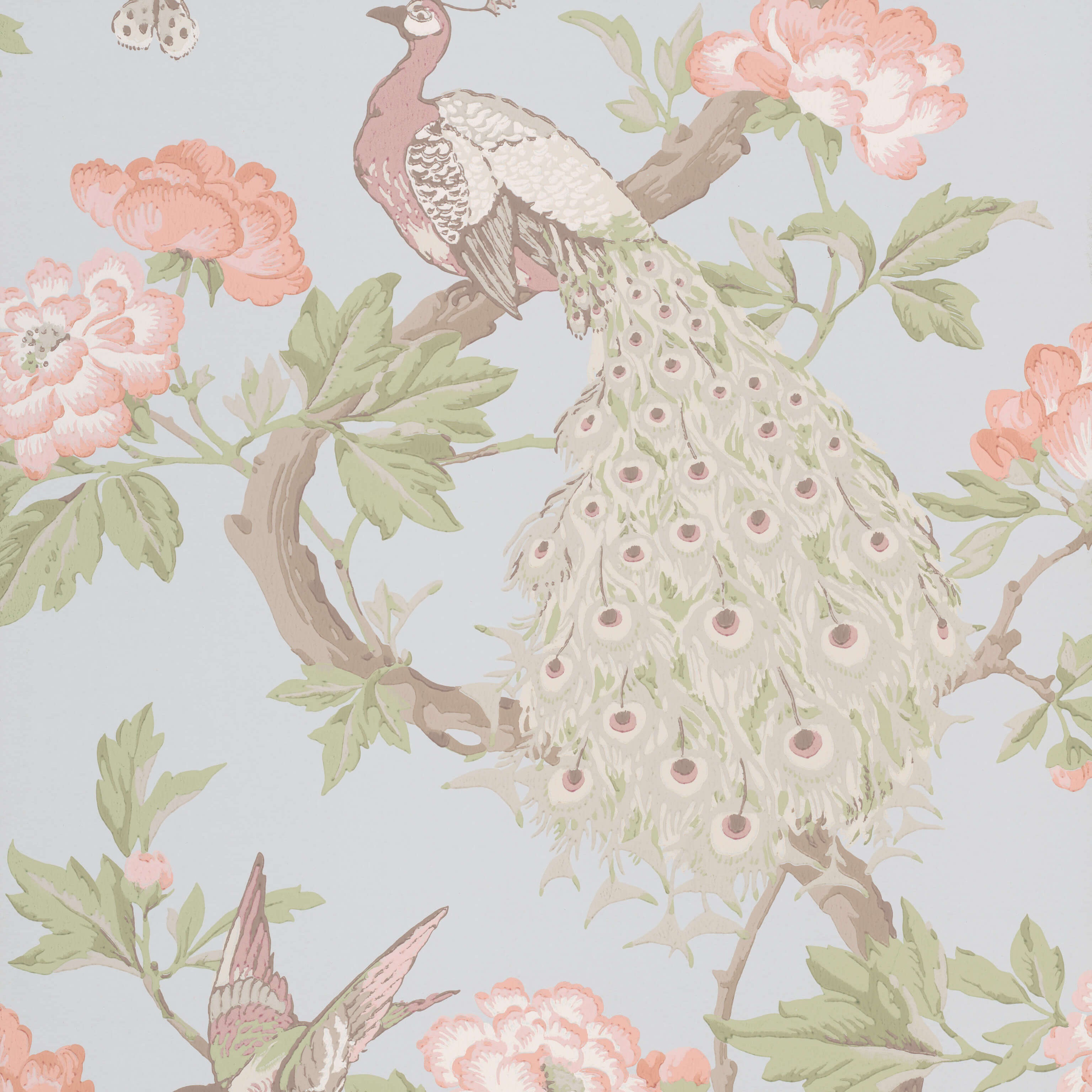 Pavona - Pearle by Little Greene - luxury wallpaper