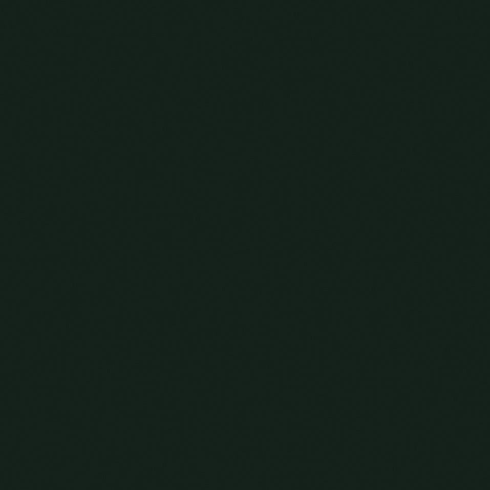 Obsidian Green (216) by Little Greene - luxury paint