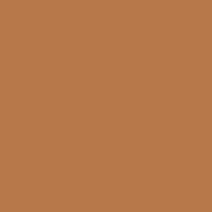 The Long Room (457) by Paint & Paper Library - Premium British Paint