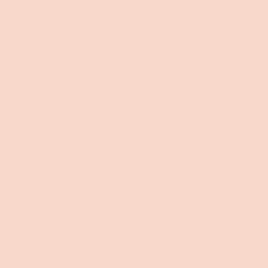 Rose Cluster (717) by Paint & Paper Library - Premium British Paint