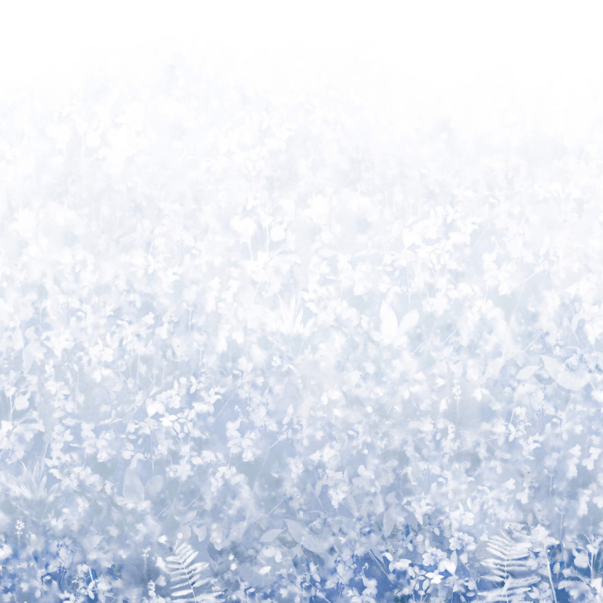 Folia - Blue Pearl by Paint & Paper Library - luxury wallpaper