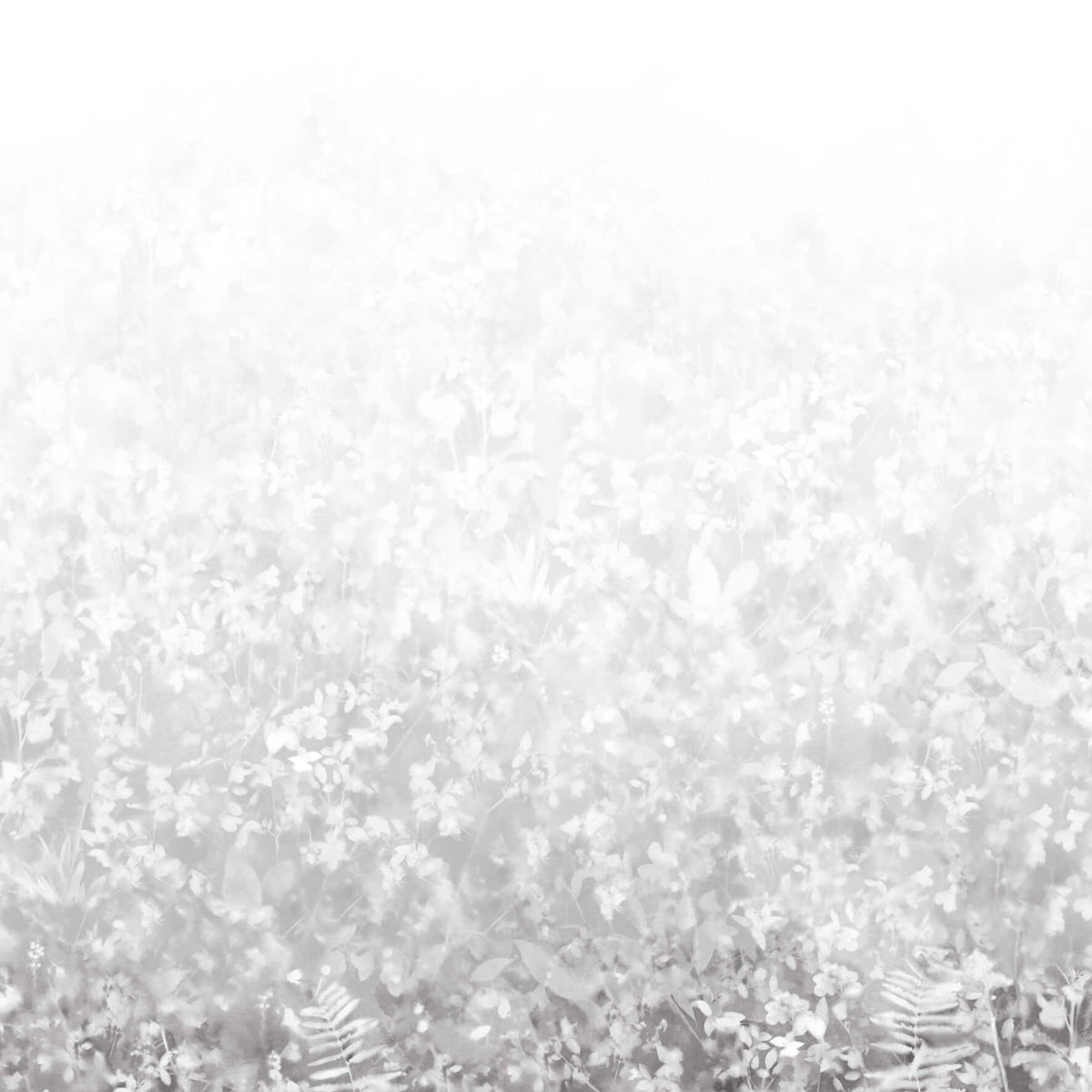 Folia - Perse Grey by Paint & Paper Library - luxury wallpaper