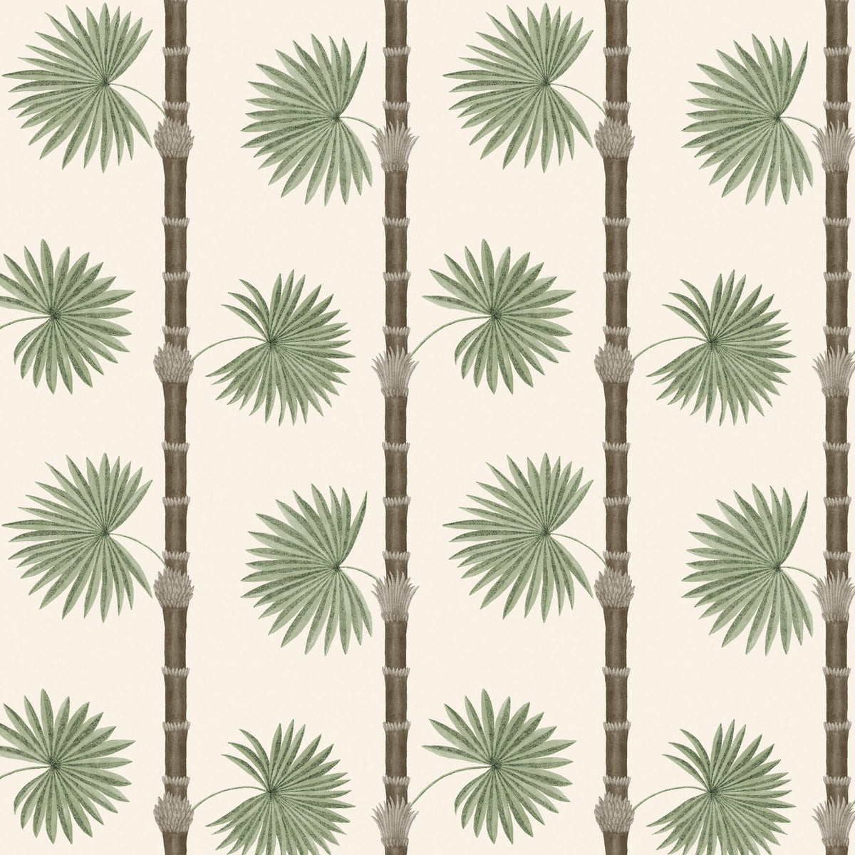 Hardy Palm - Sand III by Paint & Paper Library - luxury wallpaper