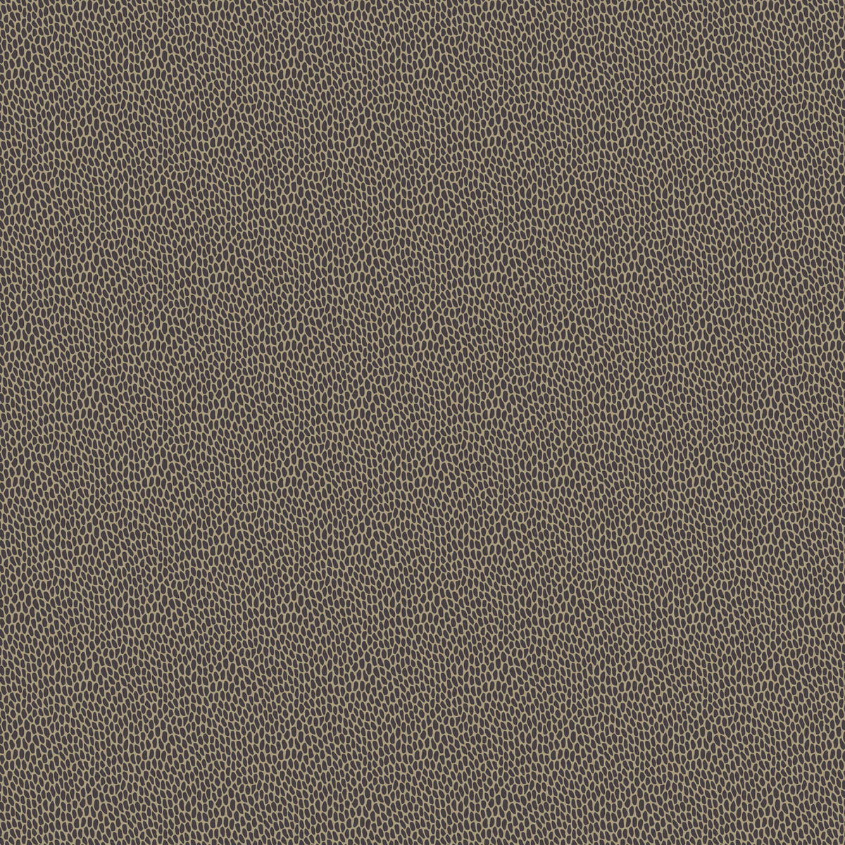 Seedpod - Pontefract by Paint & Paper Library - luxury wallpaper