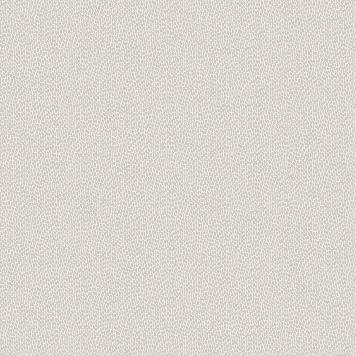 Seedpod - Salt by Paint & Paper Library - luxury wallpaper