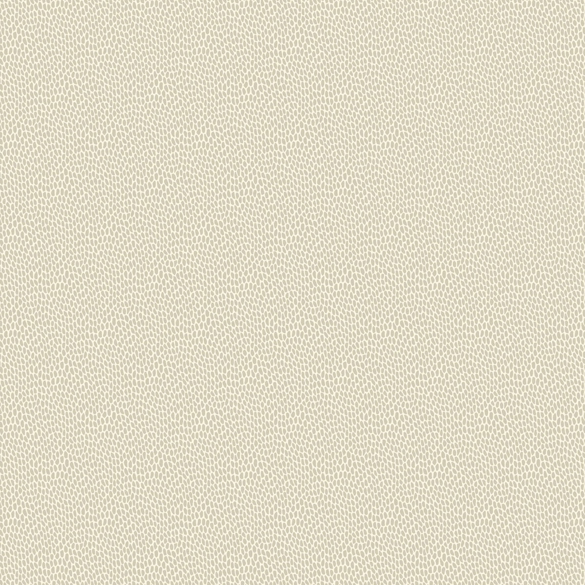 Seedpod - Wattle by Paint & Paper Library - luxury wallpaper