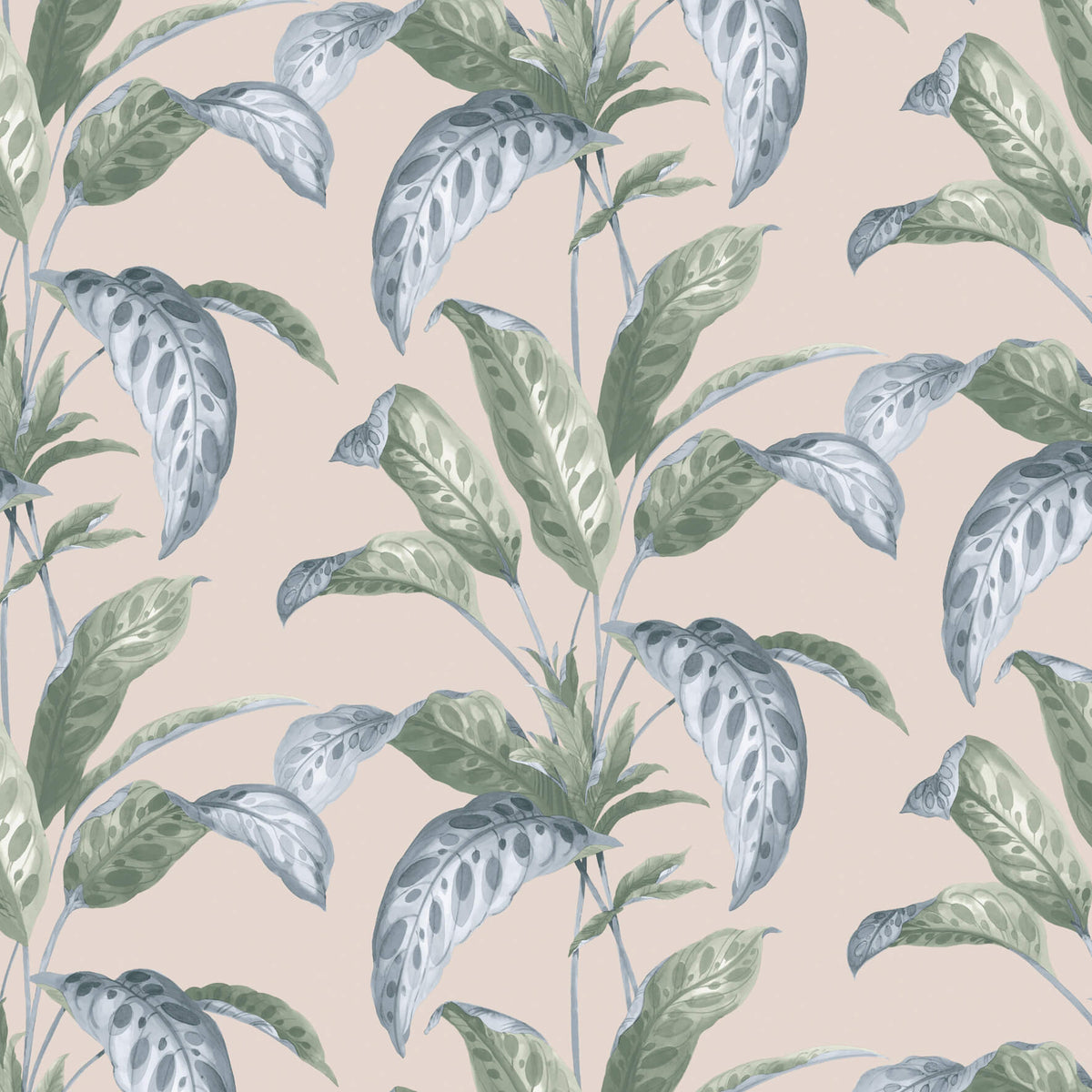 Tropicane - Plaster by Paint & Paper Library - luxury wallpaper