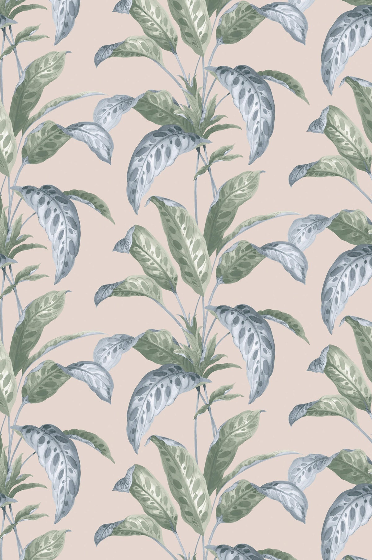 Tropicane - Plaster by Paint & Paper Library - luxury wallpaper