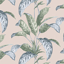 Tropicane - Plaster by Paint & Paper Library - luxury wallpaper