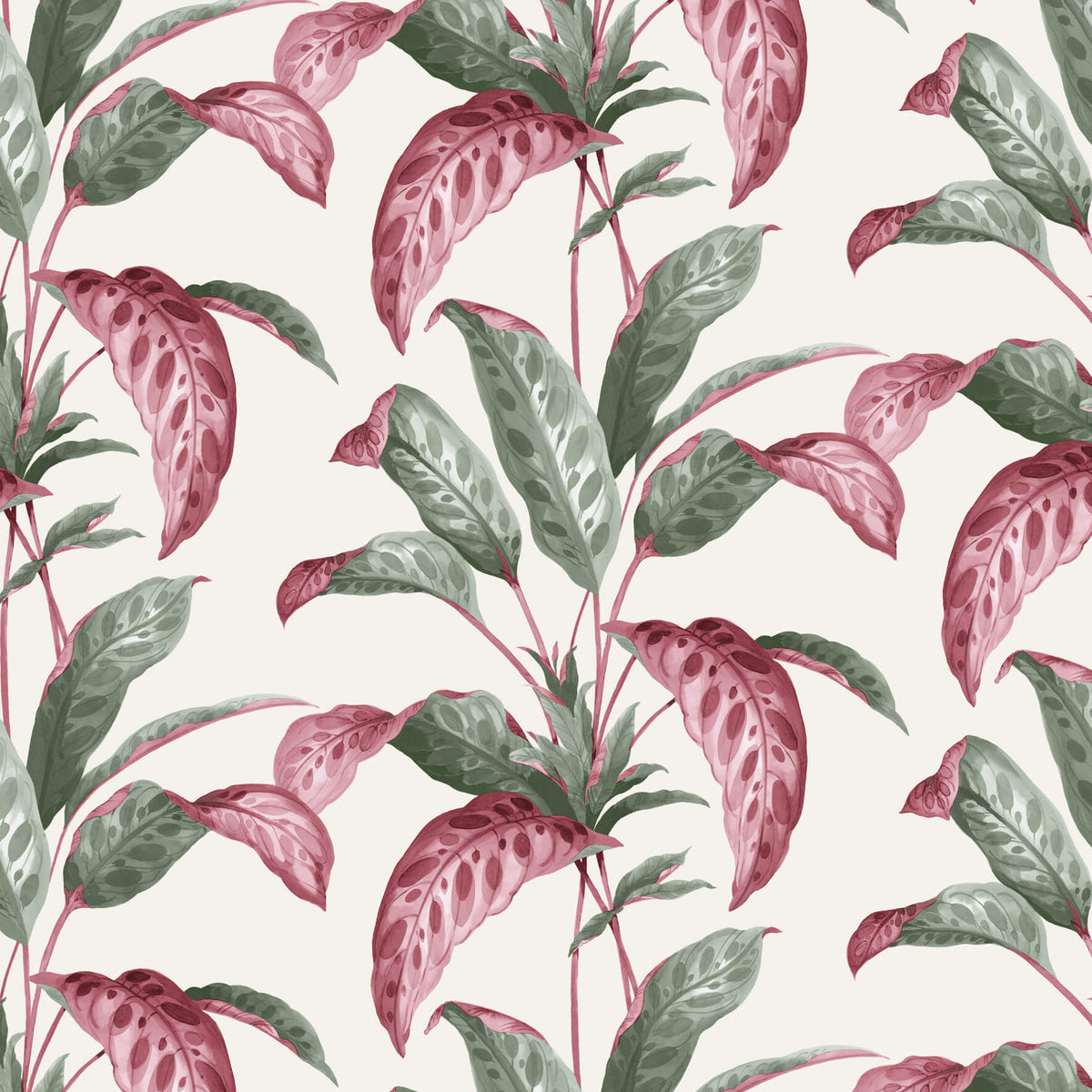 Tropicane - Rhubarb by Paint & Paper Library - luxury wallpaper