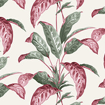 Tropicane - Rhubarb by Paint & Paper Library - luxury wallpaper