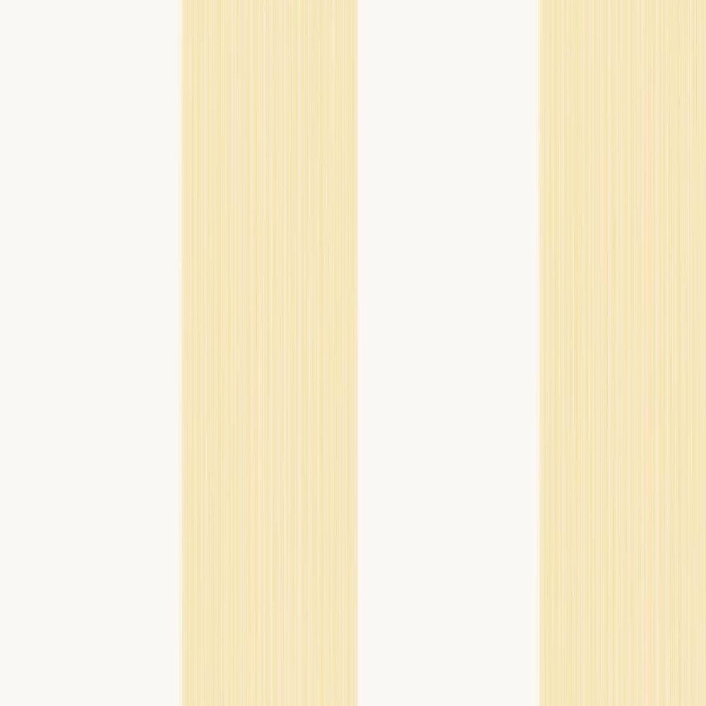 Broad Stripe 1319 by Farrow & Ball - luxury paint & wallpaper
