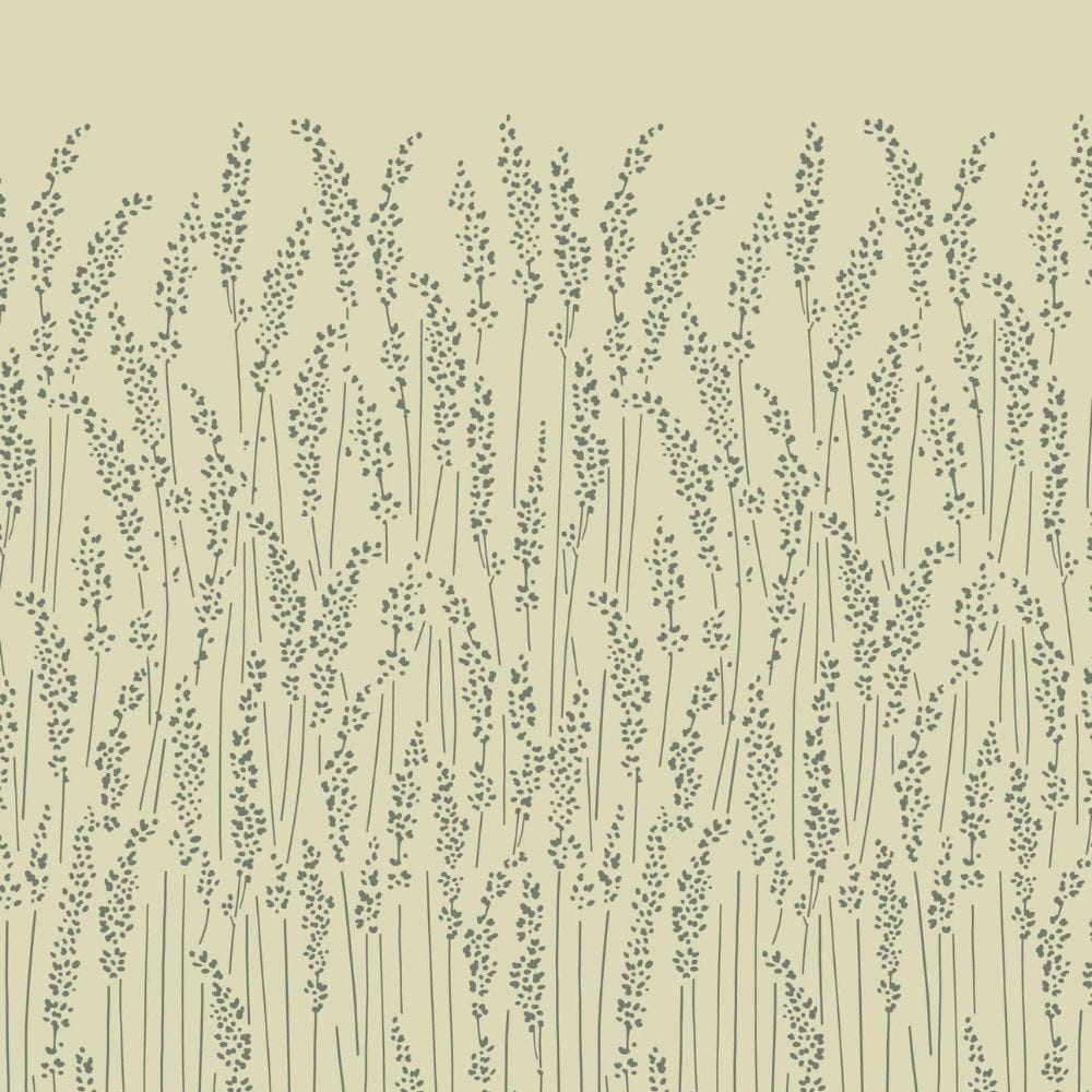 Feather Grass 5105 Sample by Farrow & Ball - luxury paint & wallpaper