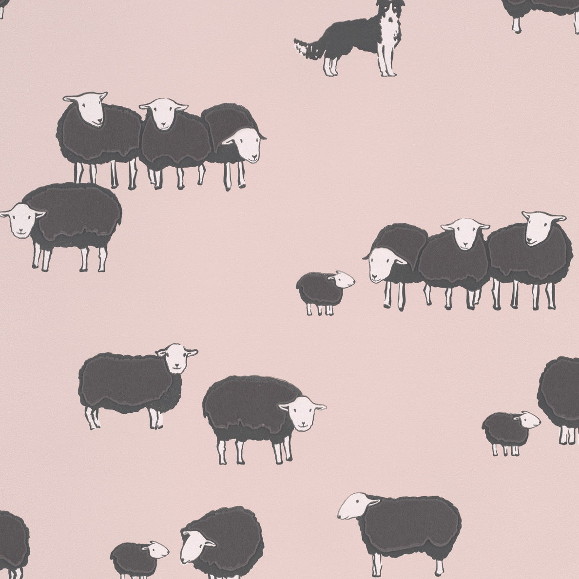 Nip & Lassie - Confetti by Little Greene - luxury wallpaper