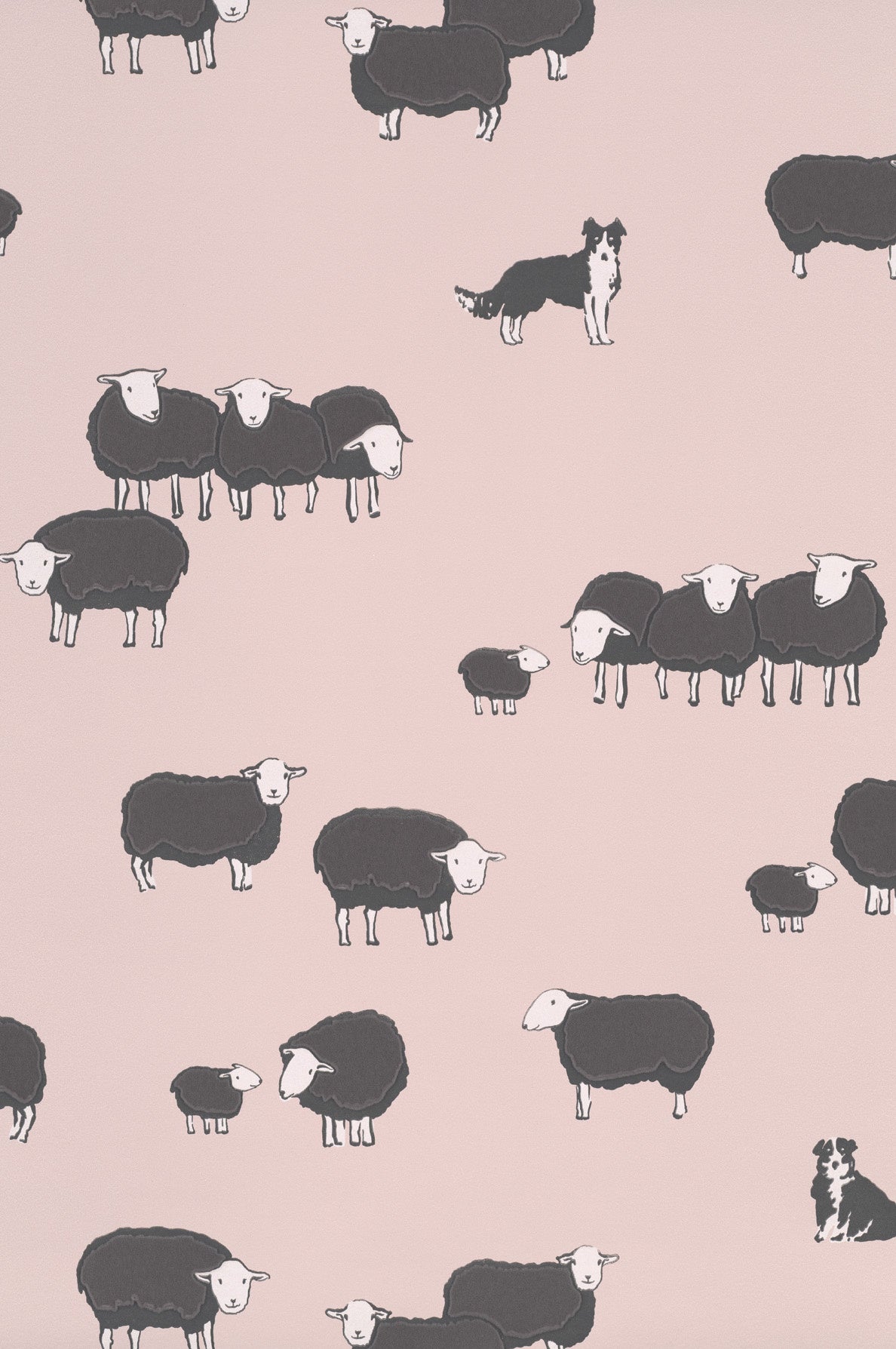 Nip & Lassie - Confetti by Little Greene - luxury wallpaper