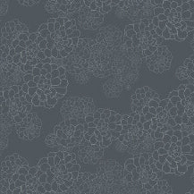 Aeonium - Blue Blood by Paint & Paper Library - luxury wallpaper