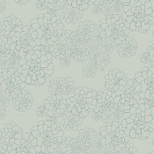 Aeonium - Blue Gum by Paint & Paper Library - luxury wallpaper