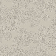 Aeonium - Cotton by Paint & Paper Library - luxury wallpaper