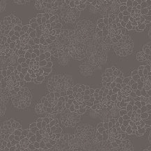 Aeonium - Monument by Paint & Paper Library - luxury wallpaper