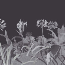 Aloe Walk - Perse Grey by Paint & Paper Library - luxury wallpaper