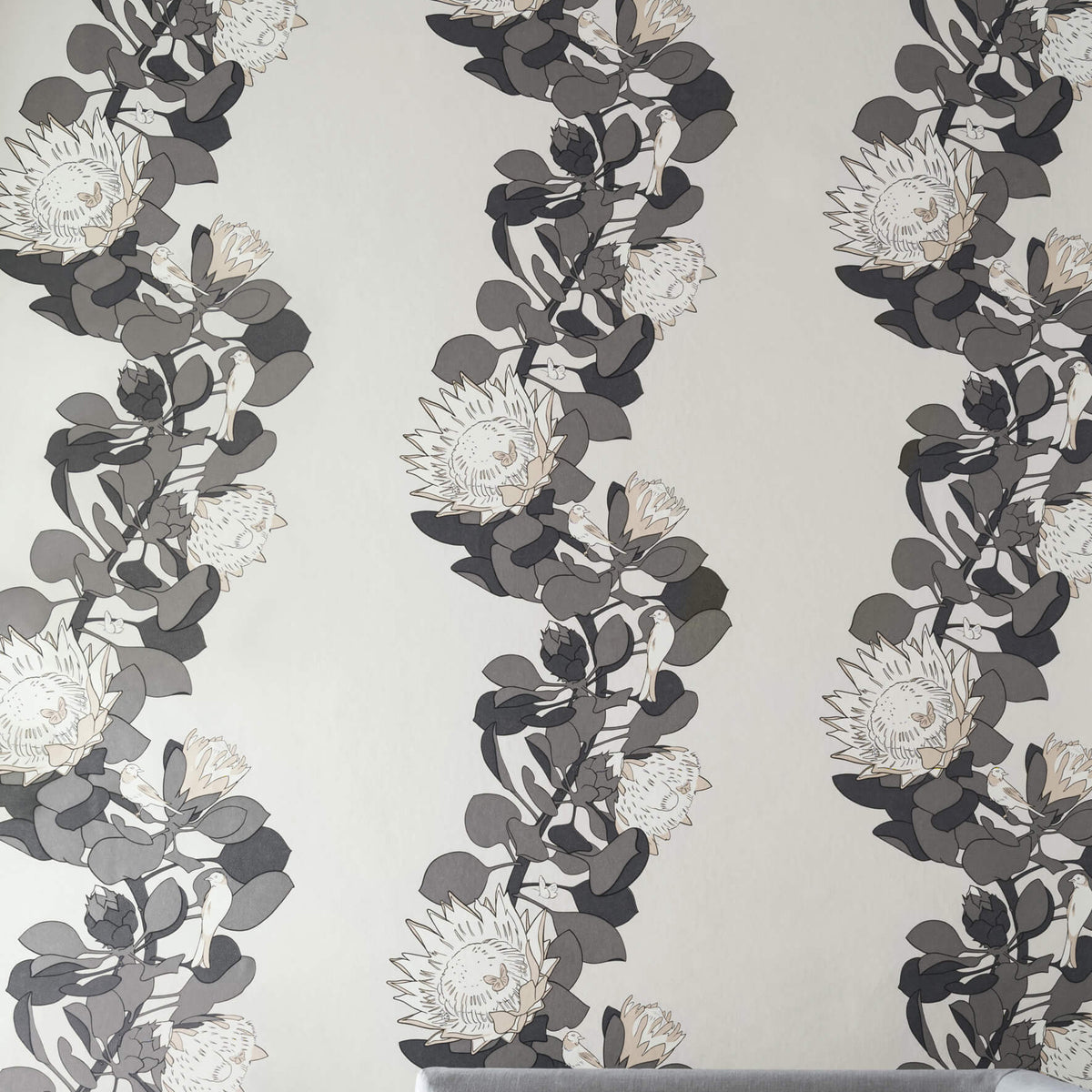 Protea Trail - Monument by Paint & Paper Library - luxury wallpaper