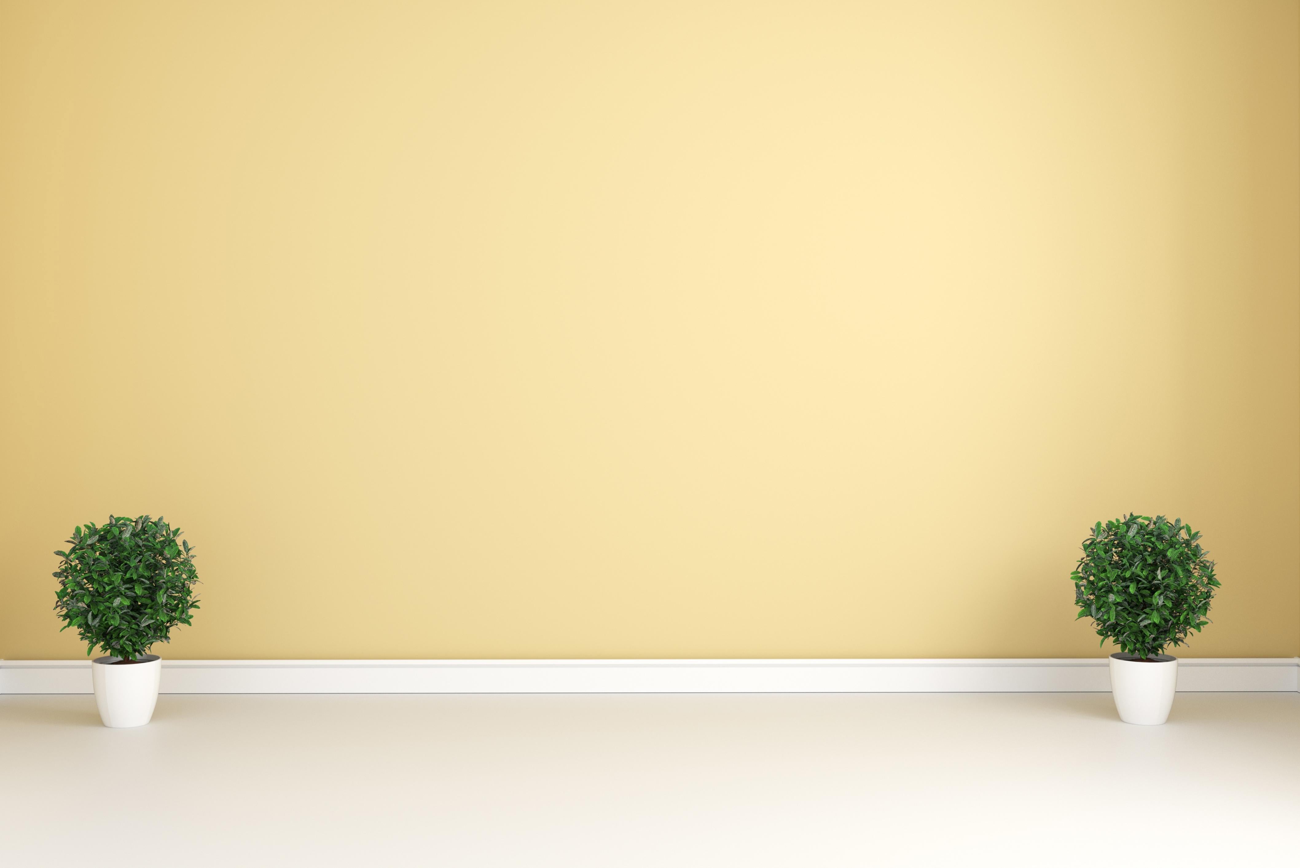 Yellow Paint