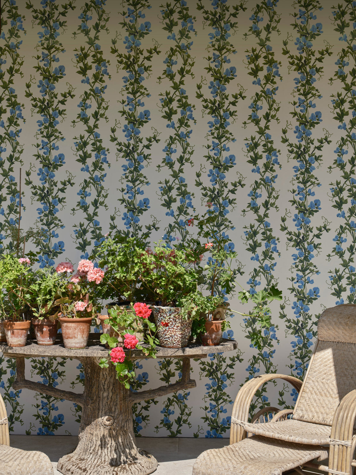 Sweet Pea 6704 wallpaper by Farrow & Ball in a room setting