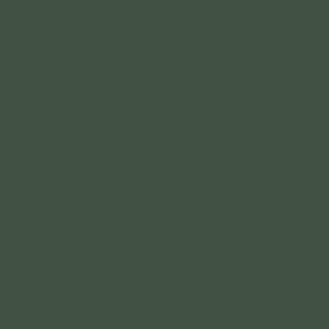 Duck Green (W55)
