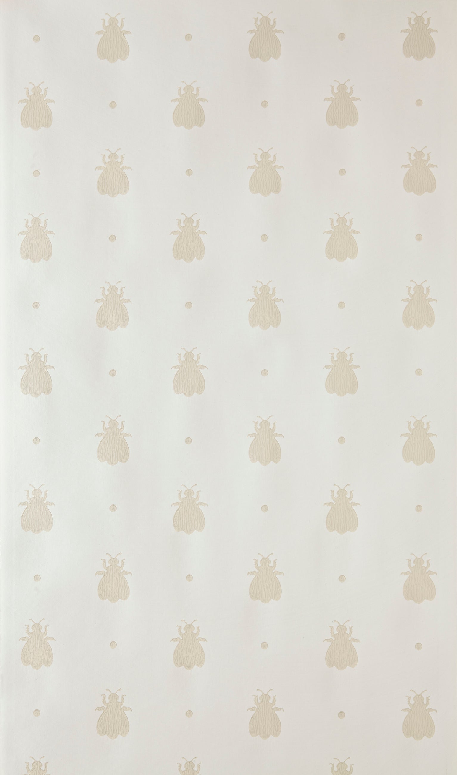 Bumble Bee 509 by Farrow & Ball - luxury paint & wallpaper