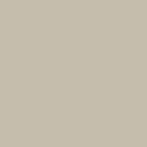 Drop Cloth - Dead Flat - 5L