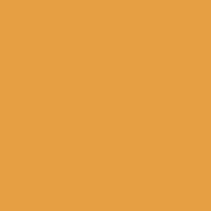 Dutch Orange (W76) by Farrow & Ball - luxury paint
