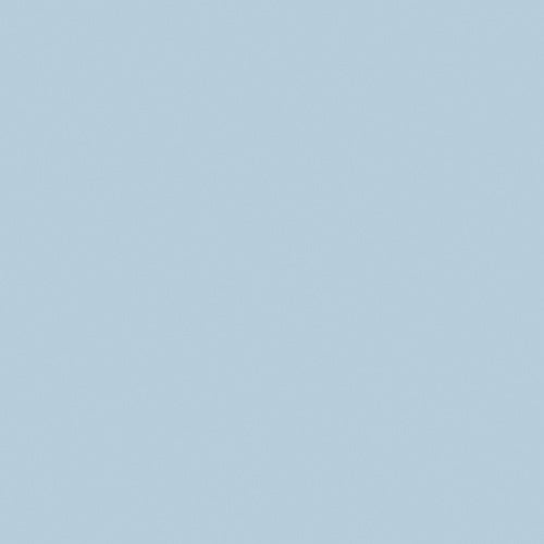 Pale Wedgwood (249)