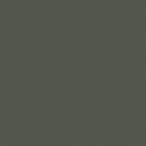 Pompeian Ash (293)