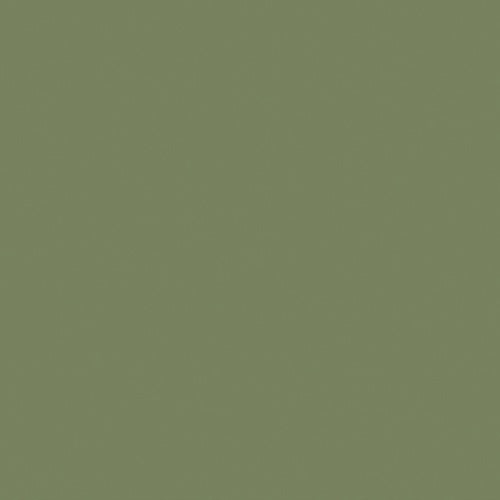 Sage Green - Absolute Matt Emulsion - 250ml