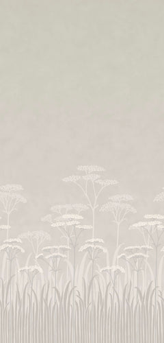Achillea - Brume - Sample