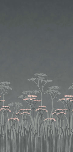 Achillea - Twilight - Sample