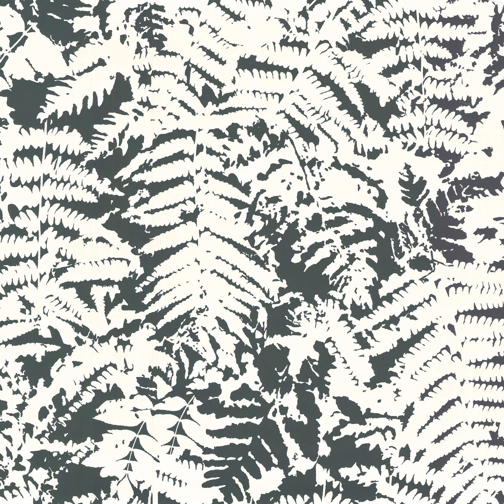 Fern - Off Black by Little Greene - luxury wallpaper