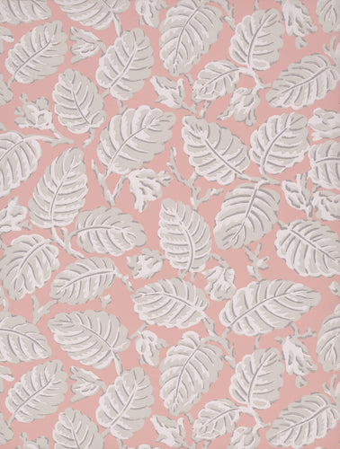 Beech Nut - Delicate - Sample
